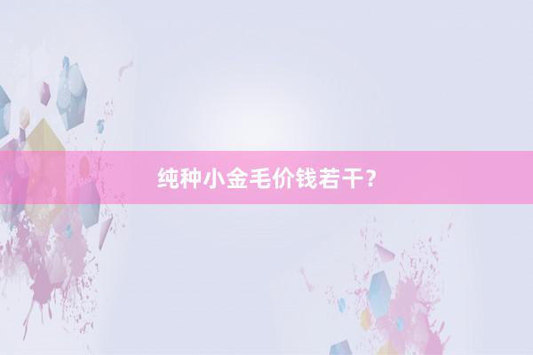 纯种小金毛价钱若干?